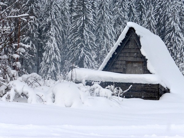 Dachstein Russbach
