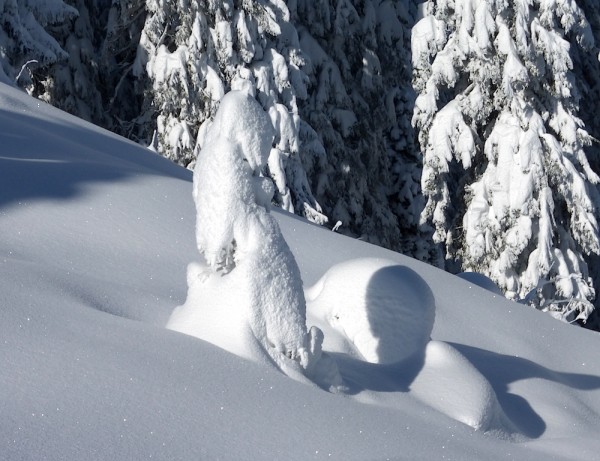 Winterimpressionen Dachstein West
