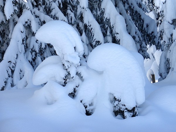 Winterimpressionen Dachstein West
