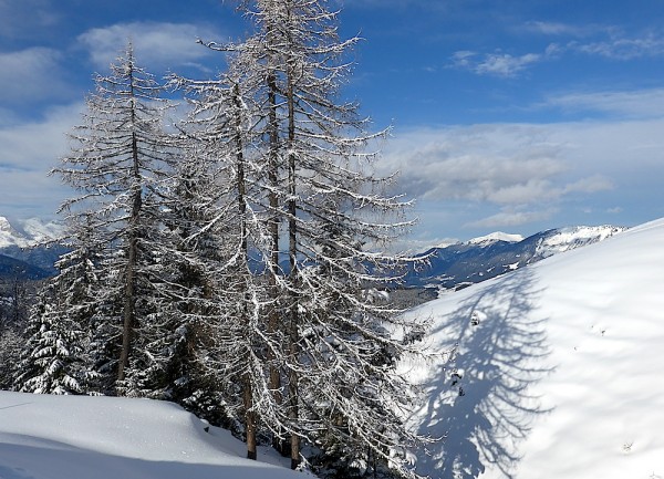 Hütten Dachstein West