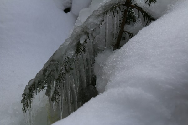Winter Wetter Russbach