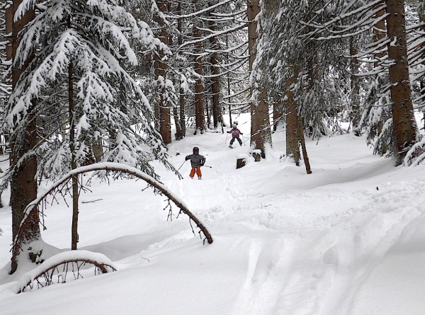 Waldbahn Dachstein West