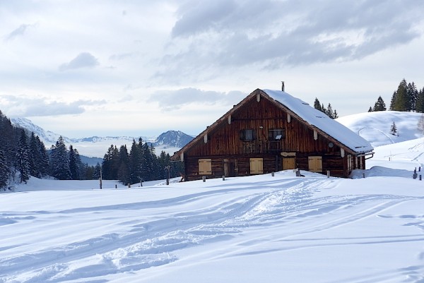 Russbach - Dachstein West