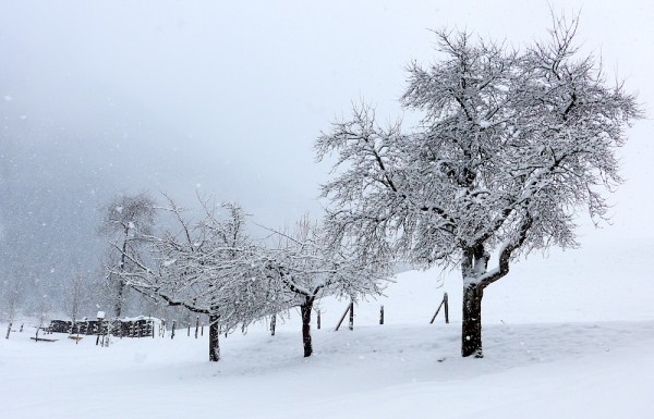 Winter Wetter Russbach