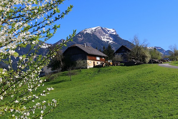 Gamsfeld