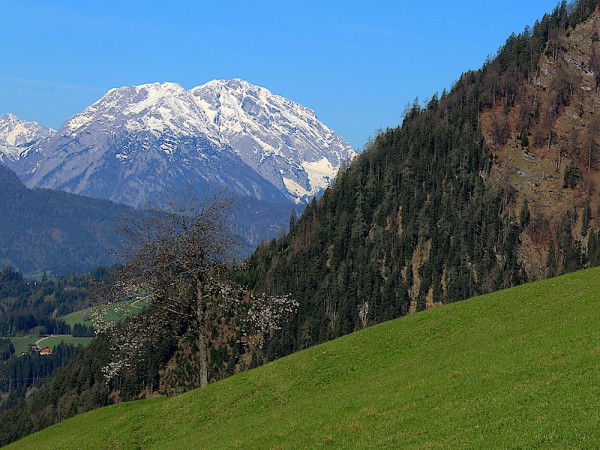 Hoher Göll