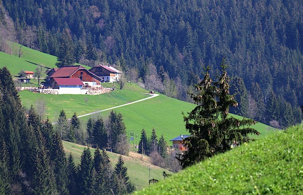 Bodenbergbauer