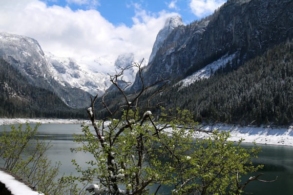Gosaukamm und Gosausee