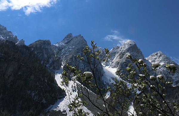 Gosaukamm und Gosausee