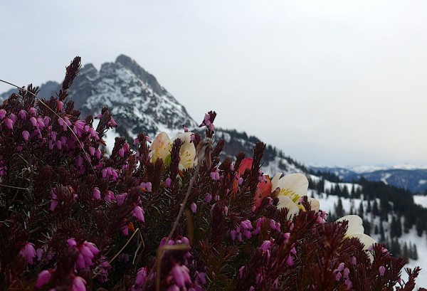 Saisonschluss Dachstein West