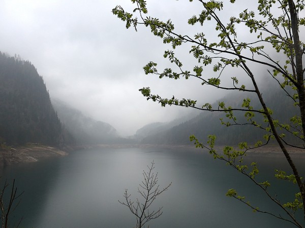 Gosausee