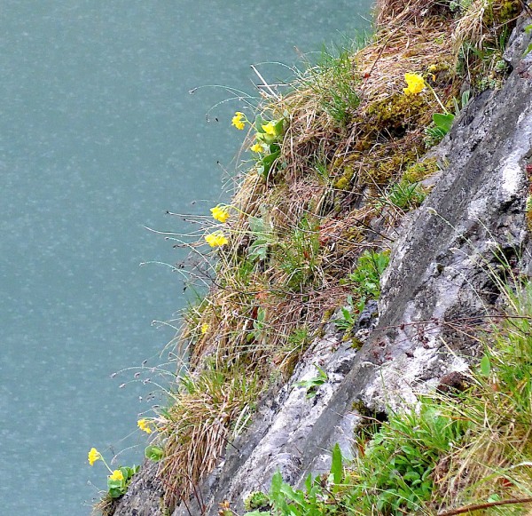 Gosausee