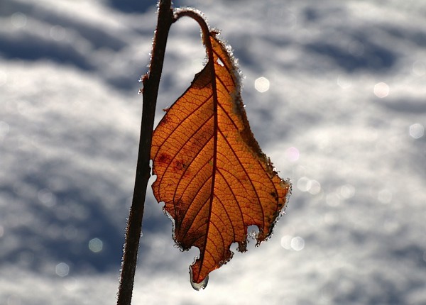 Russbach Winter
