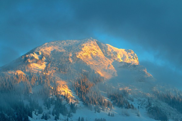 Morgenstimmung
