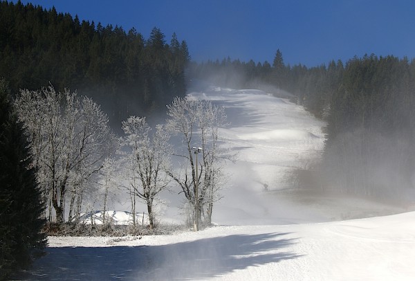 Gosau Russbach