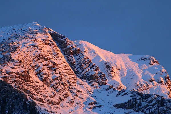 Morgenstimmung