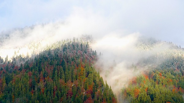 zwischen Herbst und Winter