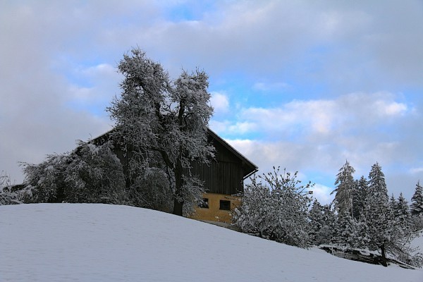 Winter