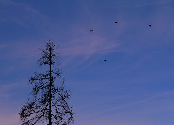 Dachstein West