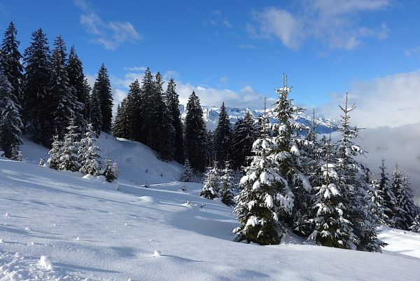 Dachstein West