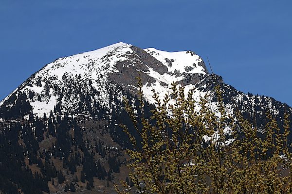 Frühling