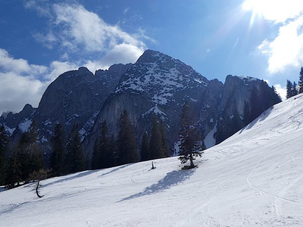 Zwieselalm