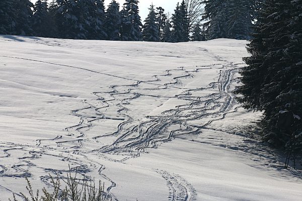 Wintereinbruch