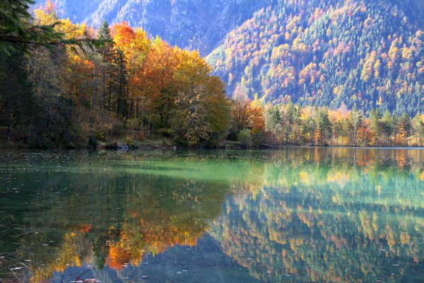 Herbstimpressionen