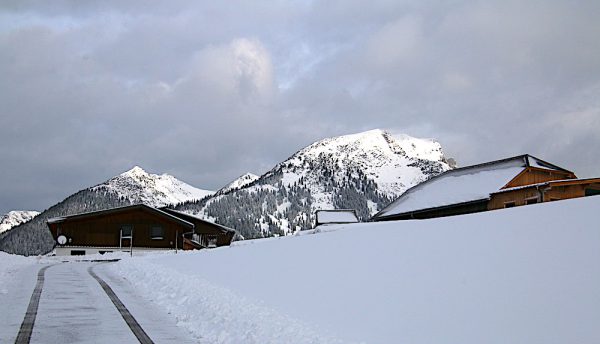 Winter