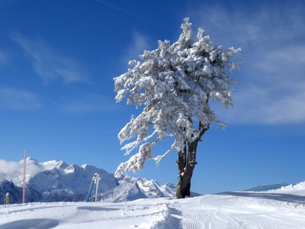 Skitag