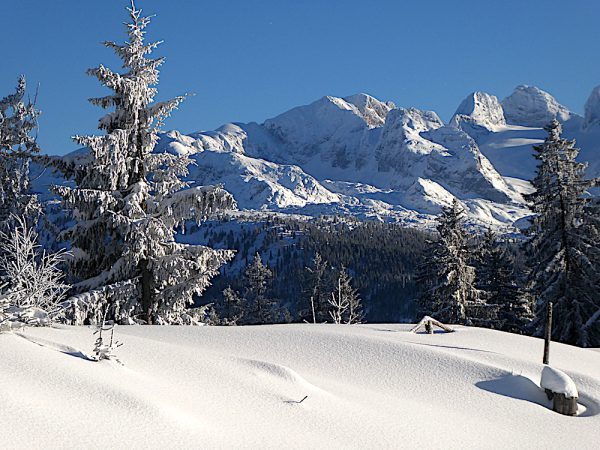 Tolle Wintertage