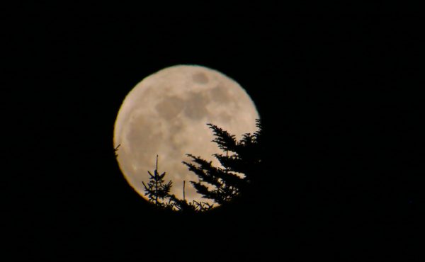 Blutmond - Vollmond