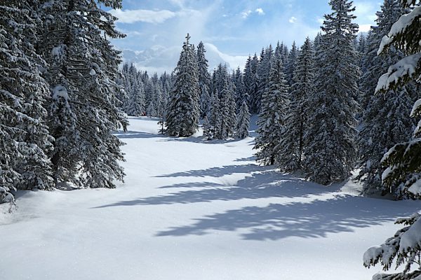 Skigebietetest