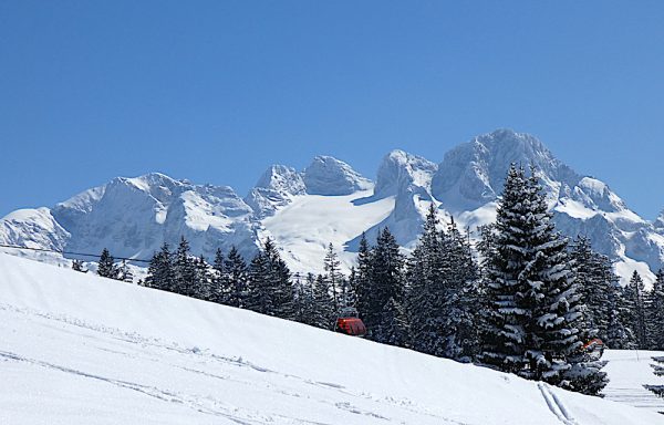 22. März