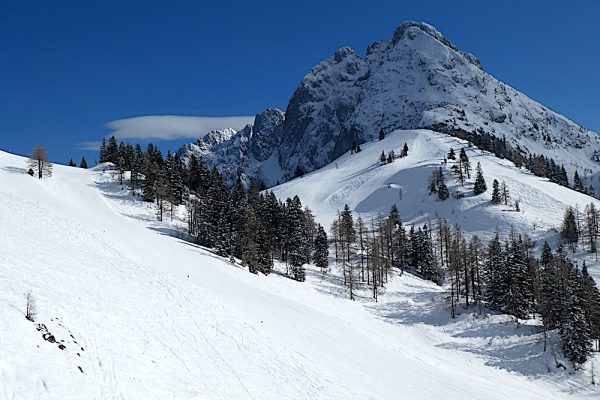 22. März