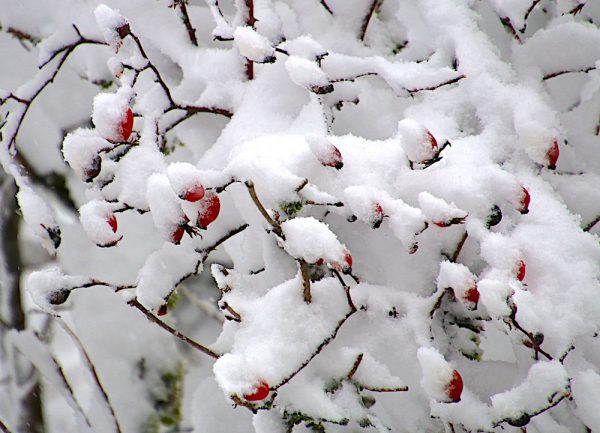 Schneefall!