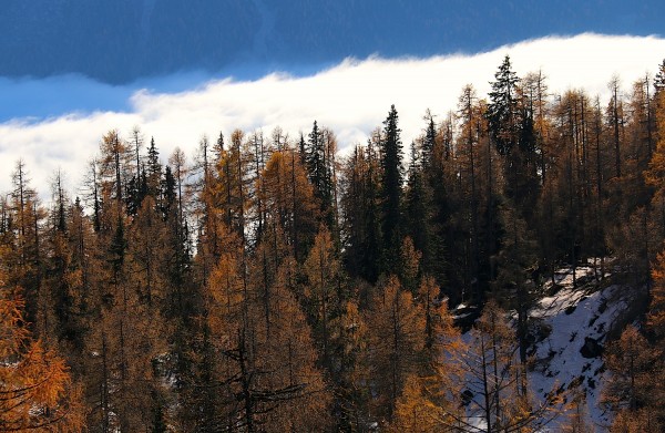 Nebel im Tal - auf den Höhen ist es warm und schön!