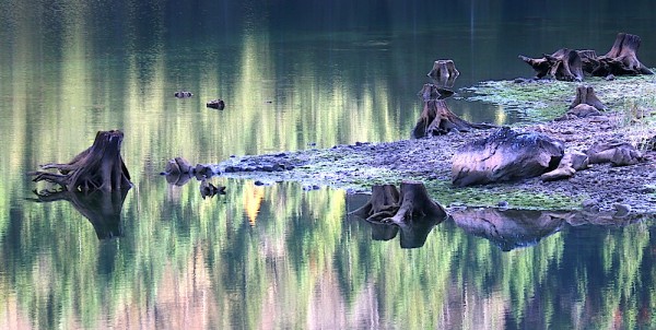 Gosausee und Gosaukamm