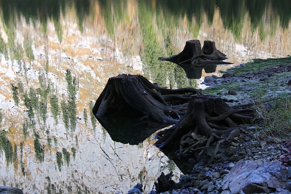 Gosausee und Gosaukamm