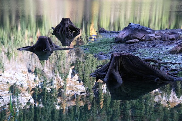 Gosausee und Gosaukamm