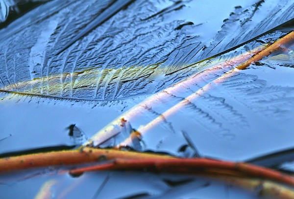 Novemberimpressionen in Russbach