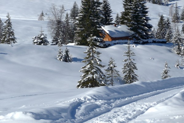 Hütten Dachstein West