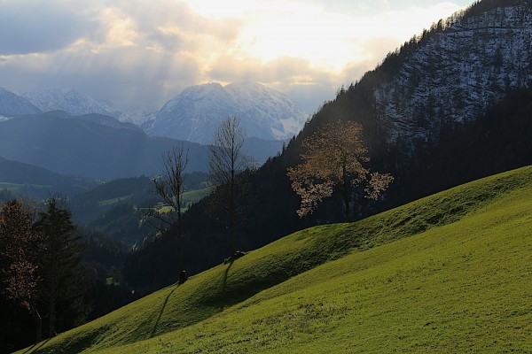 Spaziergang Franzlalm