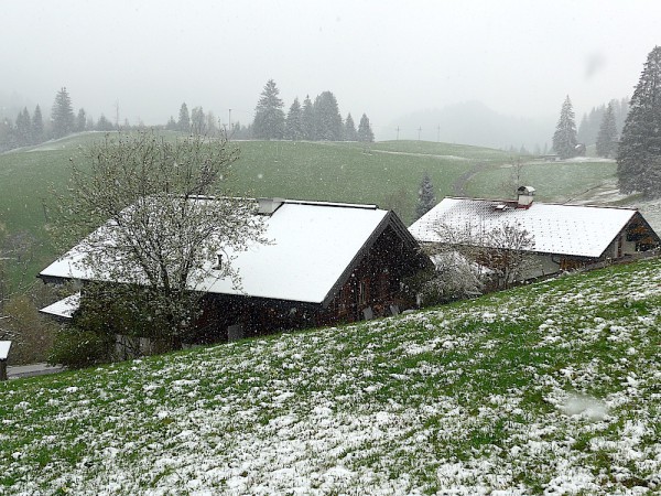 Neuschnee